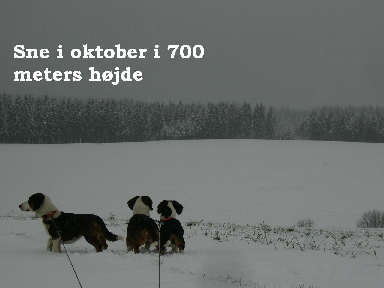 sne i oktober i 700 meters hjde